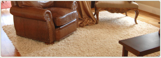 area rug cleaning services