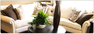 upholstery cleaning services